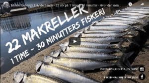 video med makrelfiskeri