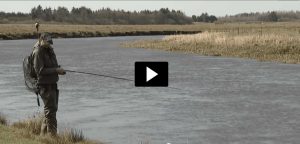 Video med laksefiskeri skjern Å